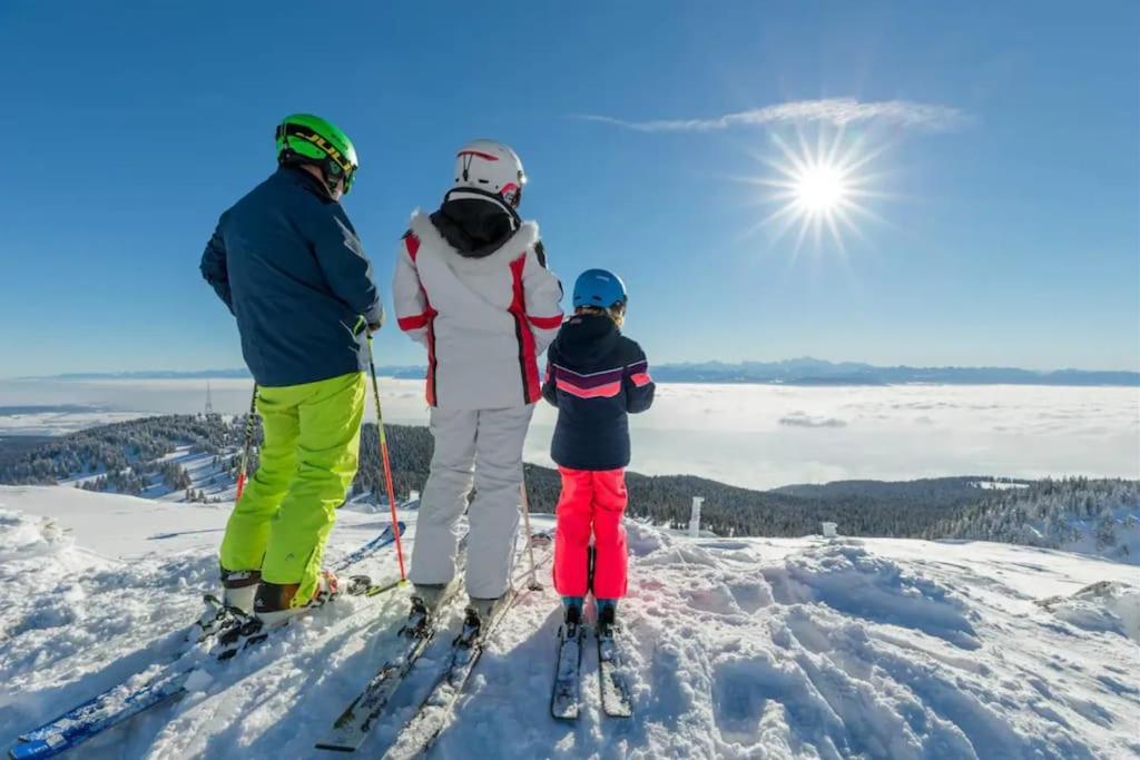 Studio Chaleureux Au Depart Des Sentiers Et Pistes De Ski Lajoux Exterior photo