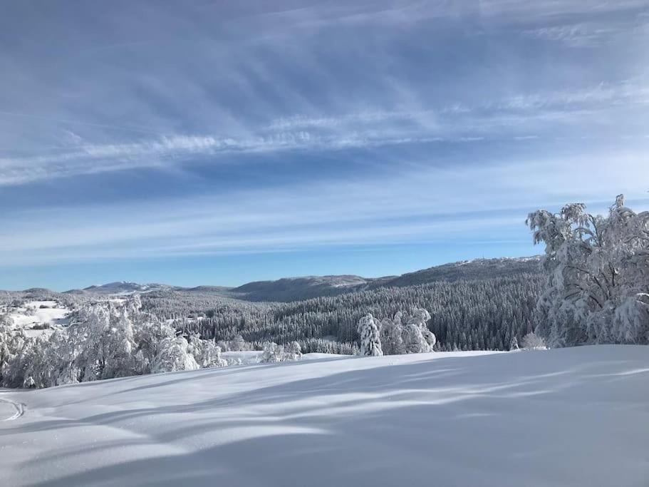 Studio Chaleureux Au Depart Des Sentiers Et Pistes De Ski Lajoux Exterior photo